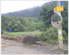  2024Ÿ2440  ׽  ظ Ծϸ 369-1     ()