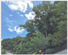  2024Ÿ2846  ׽ ϱ  420-1      (Ӿ)