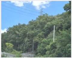  2024Ÿ2846  ׽ ϱ  420-1      (Ӿ)