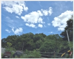  2024Ÿ2846  ׽ ϱ  420-1      (Ӿ)