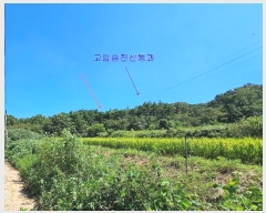  2024Ÿ3092  ׽ ϱ  ʰ 102-1     (Ӿ)