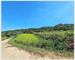  2024Ÿ3092  ׽ ϱ  ʰ 102-1     (Ӿ)