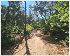  2024Ÿ3092  ׽ ϱ  ʰ 102-1     (Ӿ)