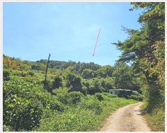  2024Ÿ3092  ׽ ϱ  ʰ 102-1     (Ӿ)