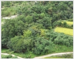  2024Ÿ3092  ׽ ϱ  ʰ 102-1     (Ӿ)