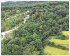  2024Ÿ3092  ׽ ϱ  ʰ 102-1     (Ӿ)