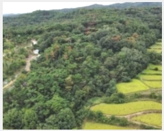  2024Ÿ3092  ׽ ϱ  ʰ 102-1     (Ӿ)