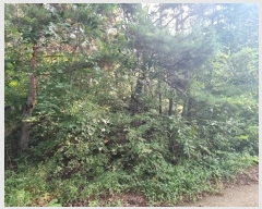  2024Ÿ3245  ׽ ϱ  ʰ 69-1     (Ӿ)