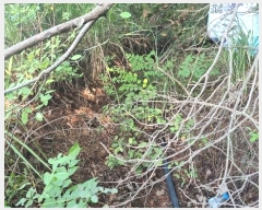  2024Ÿ3245  ׽ ϱ  ʰ 69-1     (Ӿ)