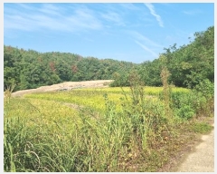  2024Ÿ3245  ׽ ϱ  ʰ 69-1     (Ӿ)