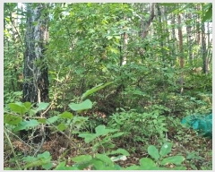  2024Ÿ3245  ׽ ϱ  ʰ 69-1     (Ӿ)