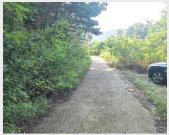  2024Ÿ3245  ׽ ϱ  ʰ 69-1     (Ӿ)