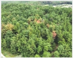  2024Ÿ3245  ׽ ϱ  ʰ 69-1     (Ӿ)