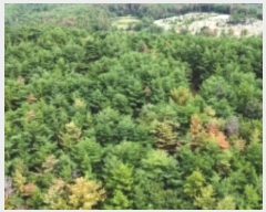  2024Ÿ3245  ׽ ϱ  ʰ 69-1     (Ӿ)