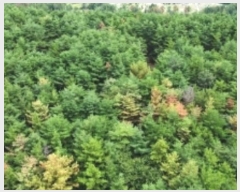  2024Ÿ3245  ׽ ϱ  ʰ 69-1     (Ӿ)