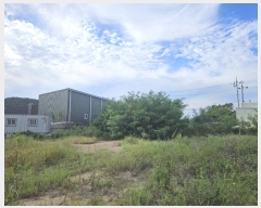  2024Ÿ3290  ׽   ڸ 769-23     ()