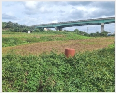  2024Ÿ��3641  ����