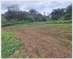  2024Ÿ��3641  ����