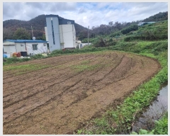  2024Ÿ��3641  ����