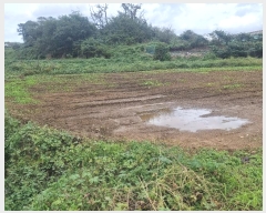  2024Ÿ��3641  ����