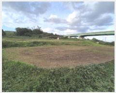  2024Ÿ��3641  ����