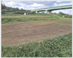  2024Ÿ��3641  ����