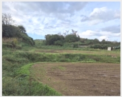  2024Ÿ��3641  ����