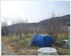  2024Ÿ3696  ׽ ϱ  ȭ 351-2     ()