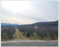  2024Ÿ3696  ׽ ϱ  ȭ 351-2     ()