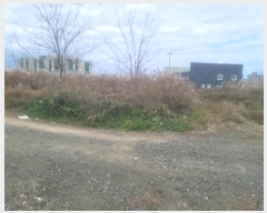  2024Ÿ3849  ׽  ظ  60     ()