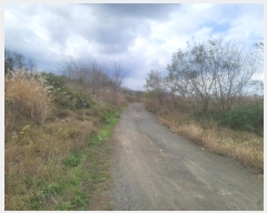  2024Ÿ3849  ׽  ظ  60     ()