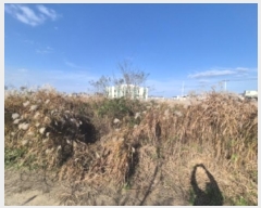  2024Ÿ3849  ׽  ظ  60     ()