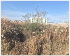  2024Ÿ3849  ׽  ظ  60     ()