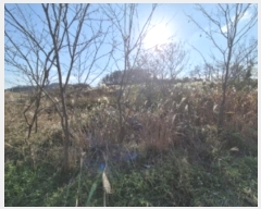  2024Ÿ3849  ׽  ظ  60     ()