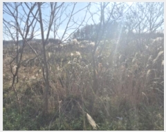  2024Ÿ3849  ׽  ظ  60     ()