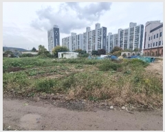  2024Ÿ3917  ׽  õ  443     (1)