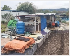  2024Ÿ3917  ׽  õ  443     (1)