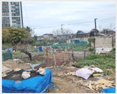  2024Ÿ3917  ׽  õ  443     (1)