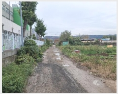  2024Ÿ3917  ׽  õ  443     (1)