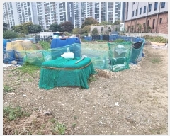  2024Ÿ3917  ׽  õ  443     (1)