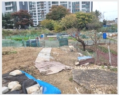  2024Ÿ3917  ׽  õ  443     (1)