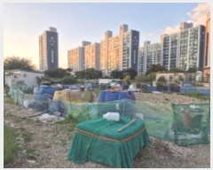  2024Ÿ3917  ׽  õ  443     (1)