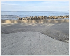  2024Ÿ��4026  �����