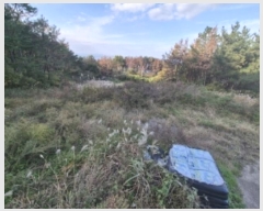  2024Ÿ��4026  �����