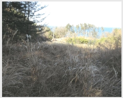  2024Ÿ��4026  â�����