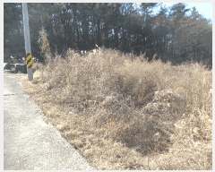  2024Ÿ��4026  â�����