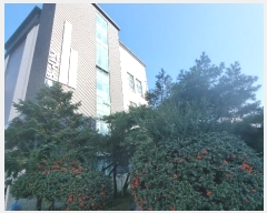  2024Ÿ��4149 ��� ���׽� ���� �󵵵� 664      �ٸ��ü�,�󰡰��