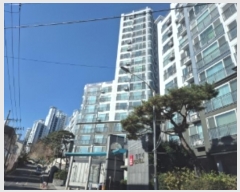  2024Ÿ4293  ׽ ϱ 69 6, 301 5503ȣ (强,Ʈ)   Ʈ