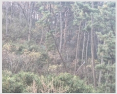  2024Ÿ4392  ׽ ϱ ᵿ 22      (Ӿ)