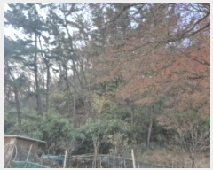  2024Ÿ4392  ׽ ϱ ᵿ 22      (Ӿ)